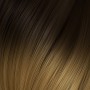 4/14. Brown / Light Golden Blond Copper