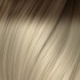 10/1004 R. Dark Blond Ash / Ultra Light Platinum Blond