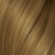 14. Light Golden Blond Copper
