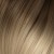 10/20 O. Dark Blond Ash / Ultra Light Blond