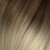 10/1004 O. Dark Blond Ash / Ultra Light Platinum Blond